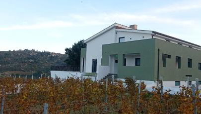 Raposa Verde - Agroturismo - Foto 3