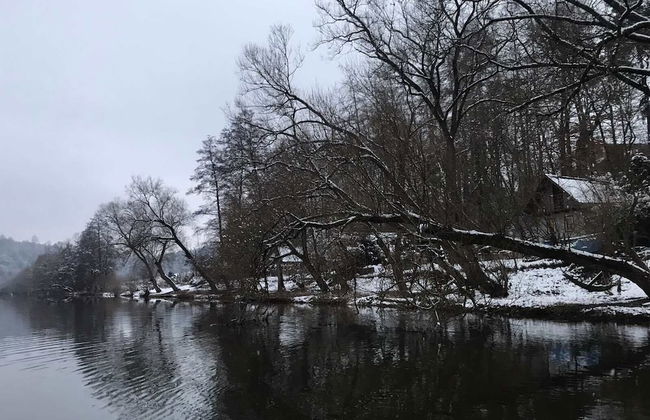 Sazava River Cottage With Boating Experience - Foto 28