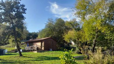 Quinta da Bolota Guest House - Photo 3