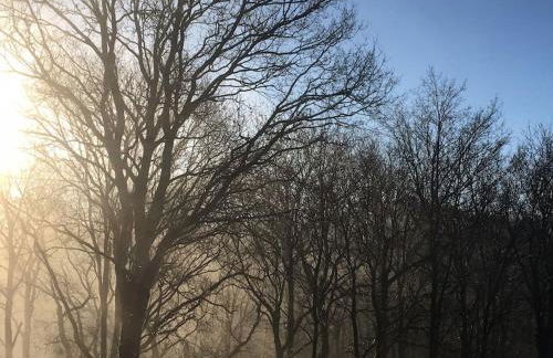 Villa El Rodal - Foto 29