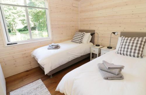 Kingfisher - Foto 10