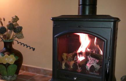 El Huerto de Pipo - Foto 6