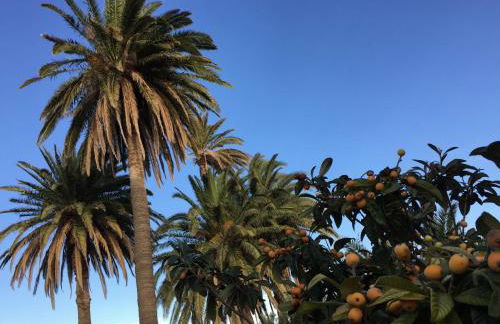 Casa Rural El Lirón - Foto 39