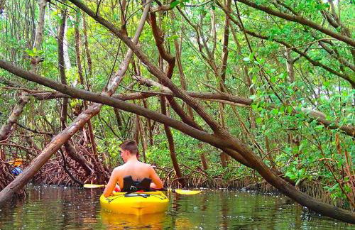 Private Patio, Walk to All, 2min- Siesta Keys Best Beach, 1min- Dining & Entertainment of Village! - Foto 53