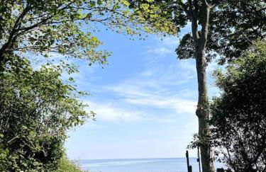 'The Studio' Designer, seaside cottage - Foto 62