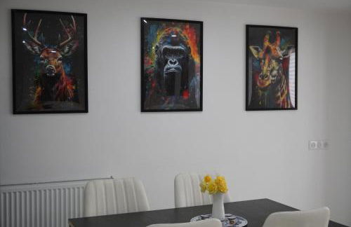 Appartement entier 2 chambres Chez Zarius - Foto 21