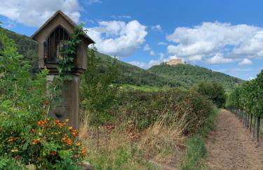 Ferienwohnung Vino Palatina - Foto 18