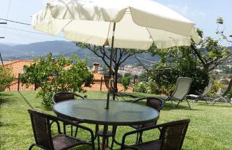 Montinho 313 - Foto 5