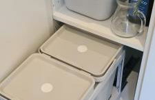 Musa Paradisiaca - Foto 32