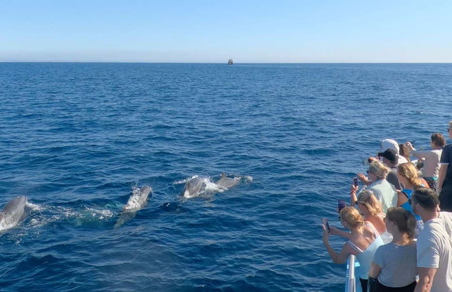 Barco por las cuevas de Benagil + Avistamiento de delfines - Foto 10
