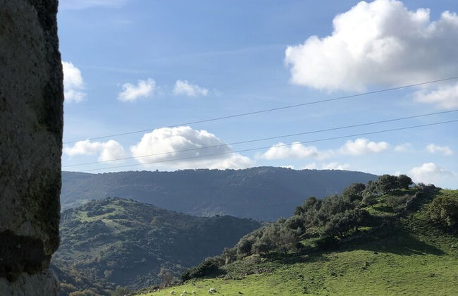 Agriturismo Sa Tanca Noa - Photo 64