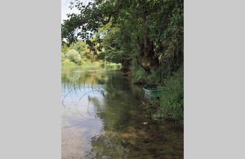 ČAROBNA ŠUMA ***(magic forest) - Foto 20