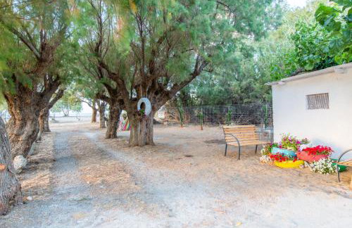 Aadonis traditional house on the Sea - Photo 58