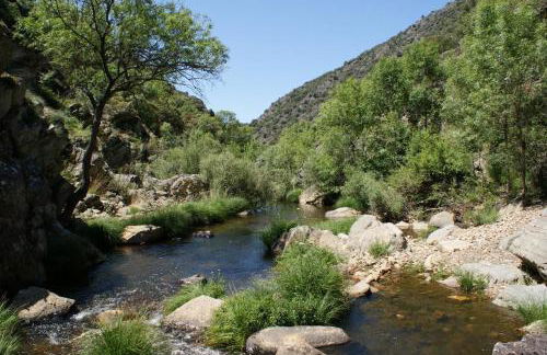 Lincetur Cabañeros - Centro de Turismo Rural - Foto 21