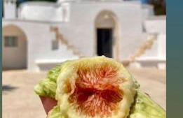 Trullo il Gelso with Private Salt Water Infinity Pool and Jacuzzi inside - Foto 27