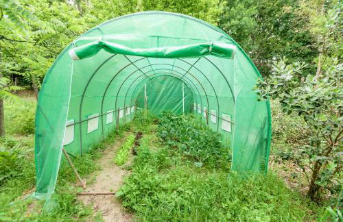 Casa da Eira "Lavoura da Bouça - Fruta Bio" - Foto 6