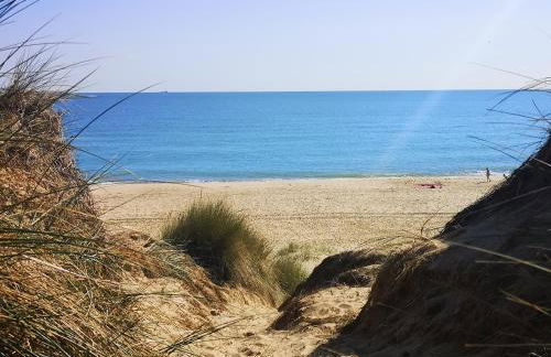 Sea View Holiday Chalet, access to sandy beach - Pets go free - Foto 11