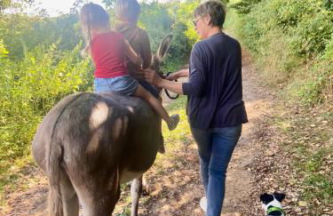 Le Bon Chemin gite - Foto 23