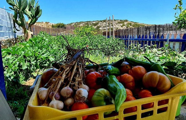 Kalliope Studios - Foto 26