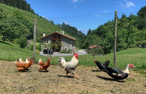 Agroturismo Urresti - Foto 51