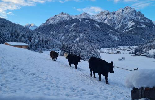 Biohof Untergröber - Foto 54