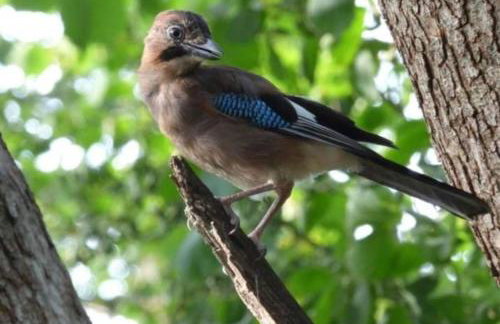 Min yr Afon - Cabin - Sleeps 2 - Hot Tub - Parking - Foto 43