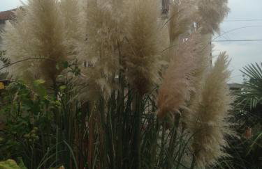 Apartment Jasna B - Foto 29