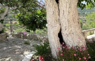 Vrysses Lodge Michael Stelianos - Foto 20