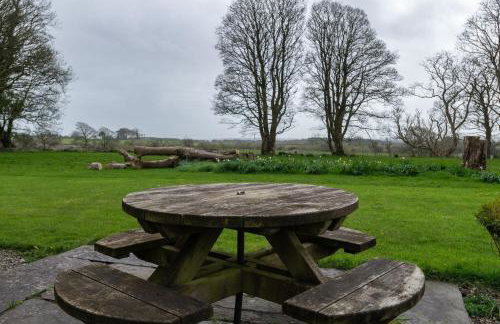 Glasfryn Fawr - Foto 32