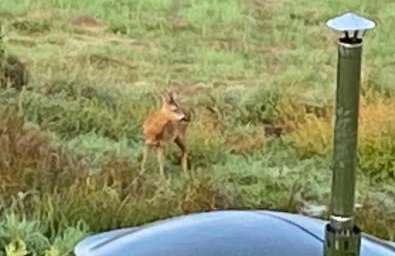 Holiday Hill Karpnki, Domki z sauną, balią i jacuzzi na wyłączność - Foto 35