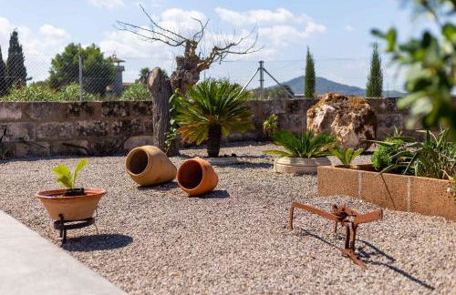 Son guineu - Foto 46