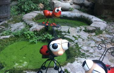 Casa Rural Cabo la Aldea - Foto 23