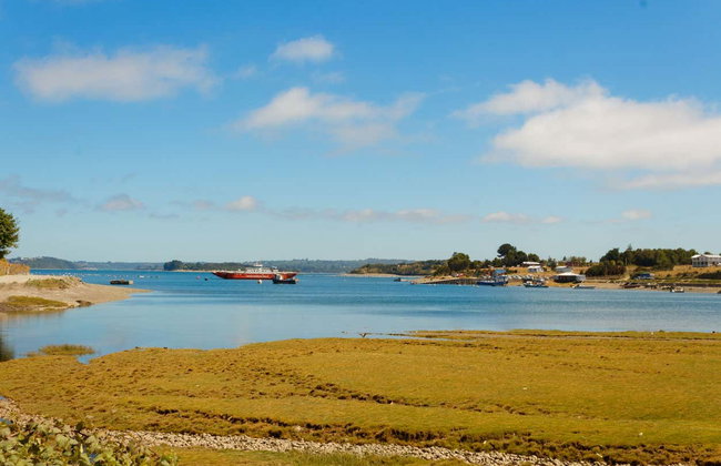 Excursion privée sur l'île Calbuco - Photo 7