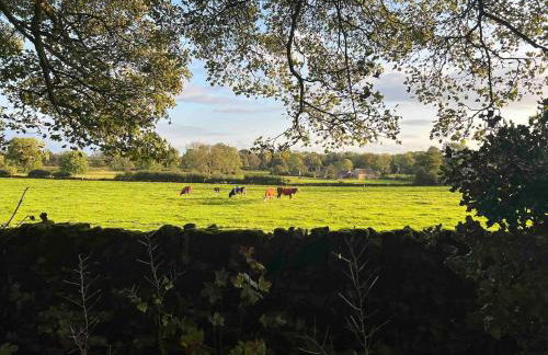 Luxury Peak District Home - 2 miles from Ashbourne - Foto 37
