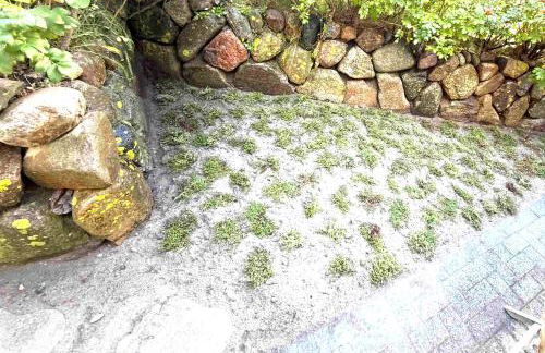 Sylt-Sonne-Meer - Foto 33