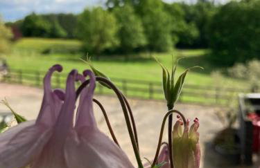 Lavender cottage - Foto 8