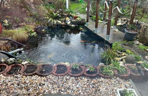 Appartement am Teich - Foto 27