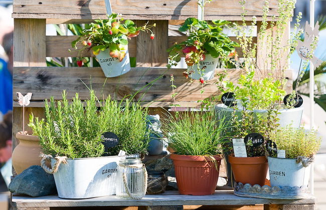 Ferienpark Scheiber - Foto 74