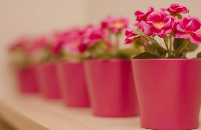 Swiss Garden by Homes Asian - Foto 12