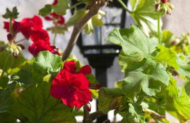 Villa Eternity - Foto 22