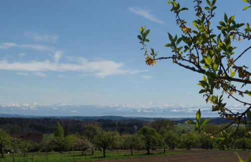 Ferienwohnung Igel - Foto 17