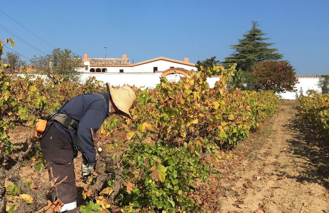 Masia Can Canyes & Spa - Foto 80