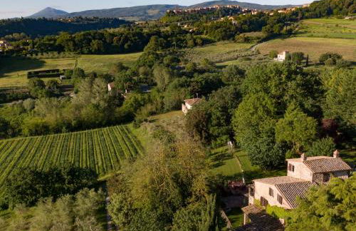 Poggio Etrusco sas di Sheldon Johns Pamela Kay - Foto 1