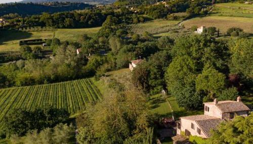 Poggio Etrusco sas di Sheldon Johns Pamela Kay - Foto 1