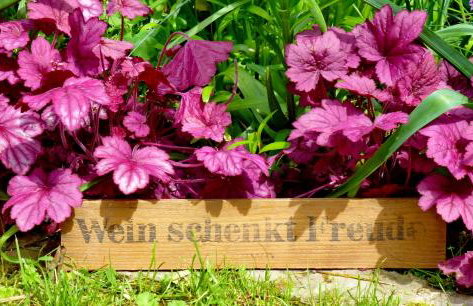 Winzerlodge, Wohnung Hatzelberg - Foto 26