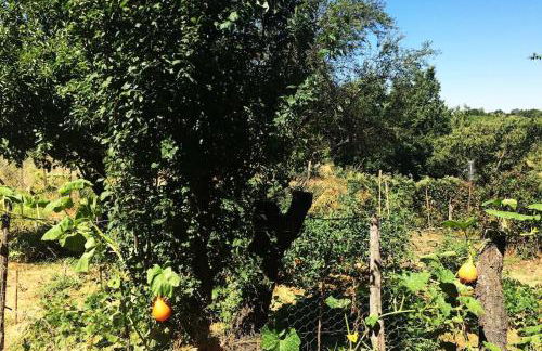 Cascina Baracico, circondati dalla natura - Foto 53