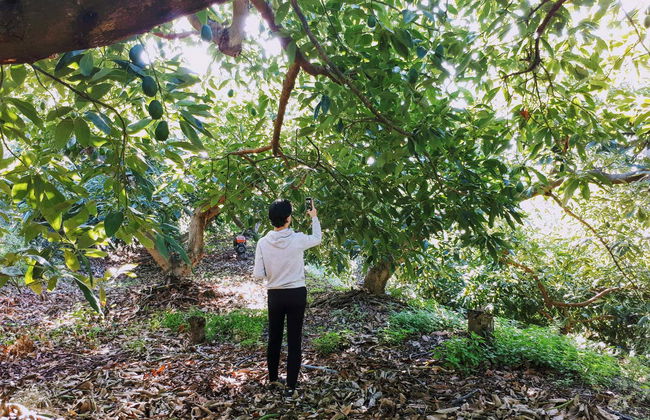 Tour in Frigiliana - Photo 2