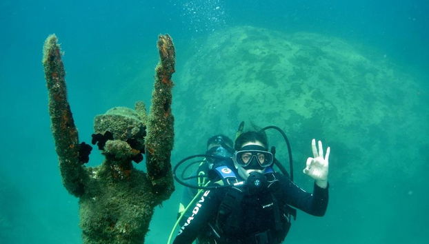 Paraty Bay Scuba Diving - Foto 2