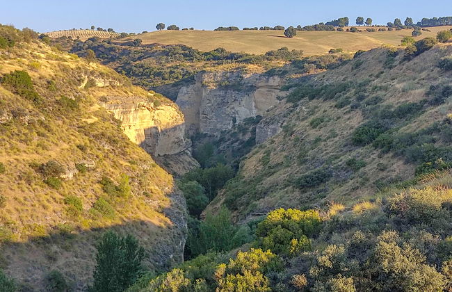 Rural Cacin - Foto 31