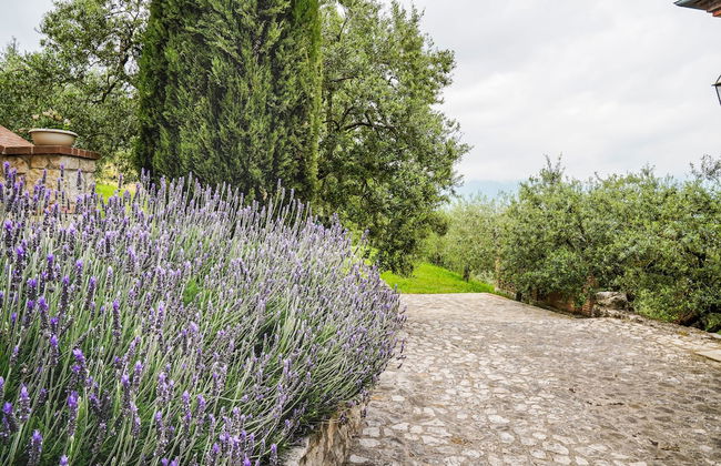 Agriturismo Maliandi - Foto 30